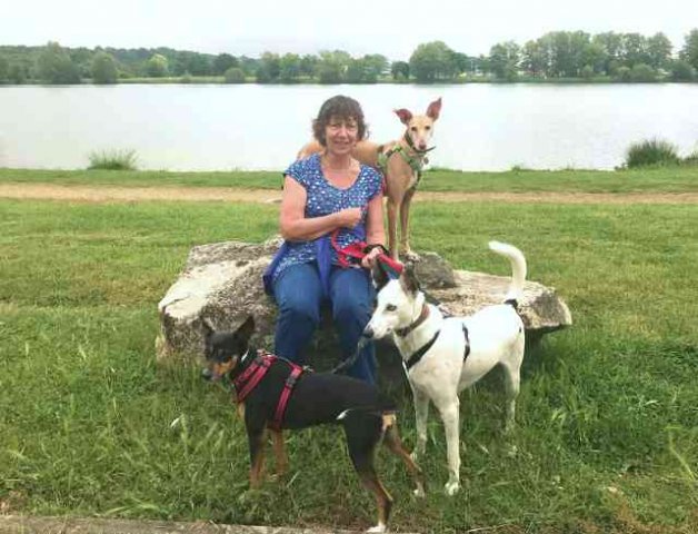 Sarah with Amber, Jazz & Mimi enjoying an early morning walk nr Le Mans, on their journey from Alora in S.Spain to Carsethorn in Scotland.  